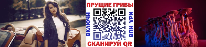 наркошоп  мега вход  Псилоцибиновые грибы Psilocybine cubensis  Покровск 